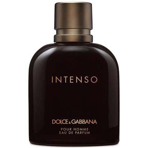 intenso dolce gabbana cijena|dolce gabbana intense fragrantica.